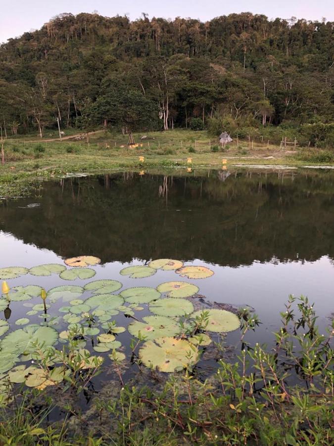 Chale Suico Nupcial - Chales Belo Monte - Sitio Belo Monte Pacoti Exterior foto